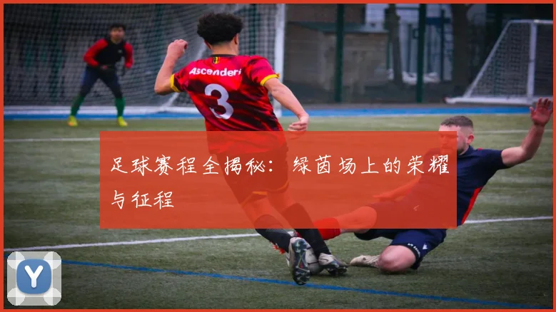 足球赛程全揭秘：绿茵场上的荣耀与征程