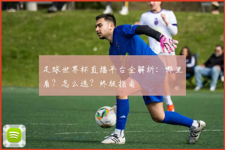 足球世界杯直播平台全解析:哪里看?怎么选?终极指南