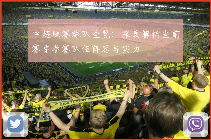 中超联赛球队全览：深度解析当前赛季参赛队伍阵容与实力
