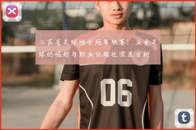 江苏省足球协会冠军联赛：业余足球的崛起与职业化路径深度分析