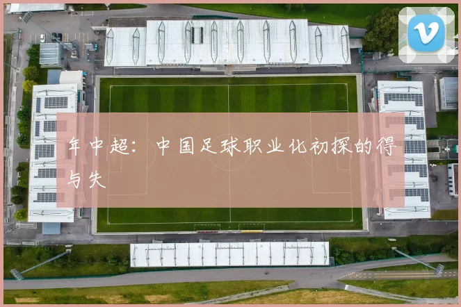 年中超:中国足球职业化初探的得与失