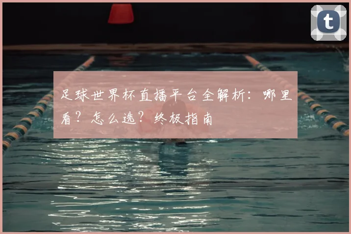 足球世界杯直播平台全解析：哪里看？怎么选？终极指南
