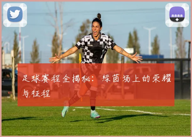 足球赛程全揭秘：绿茵场上的荣耀与征程
